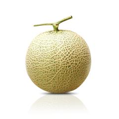 melone-fronte Melone fronte