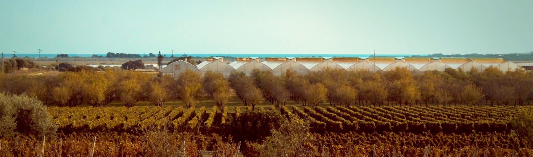 Azienda fronte