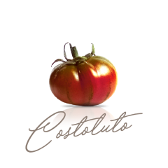 Costoluto Costoluto